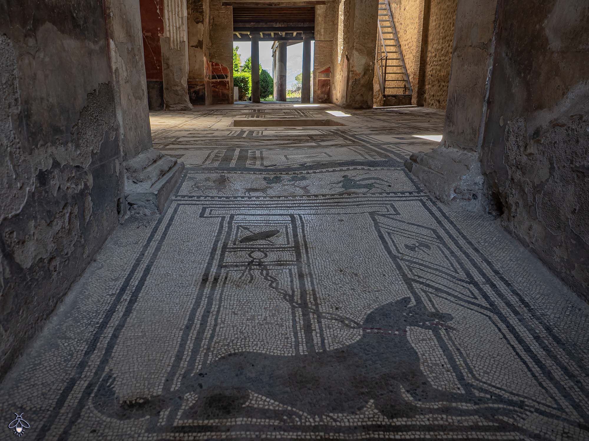 Casa Paquius Proculus Pompeji